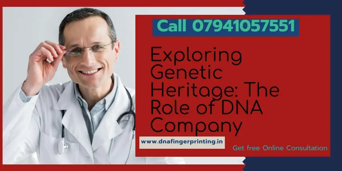 Exploring Genetic Heritage: The Role of DNA Company